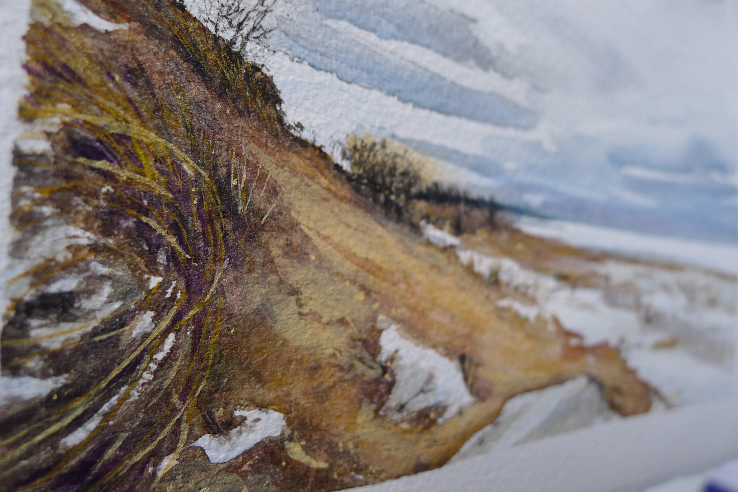 Snow on the Dunes