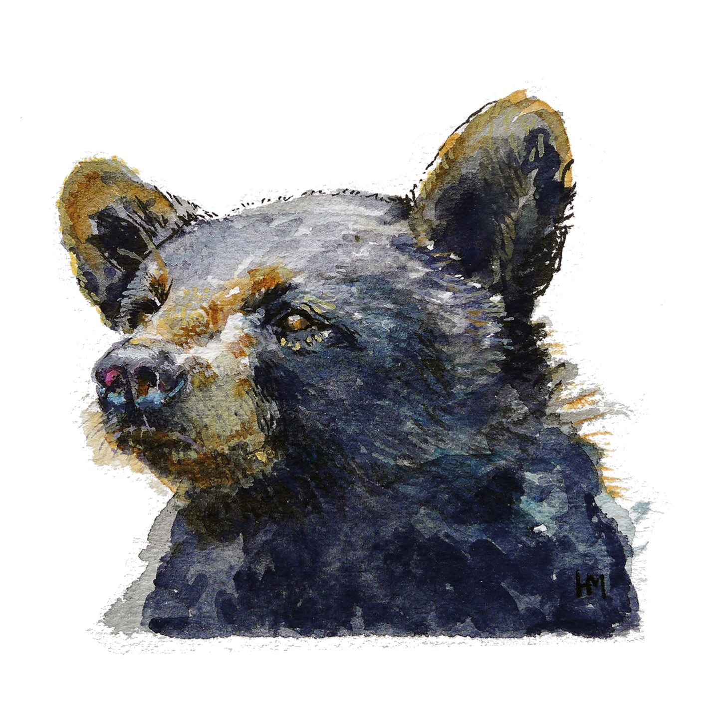 Bear