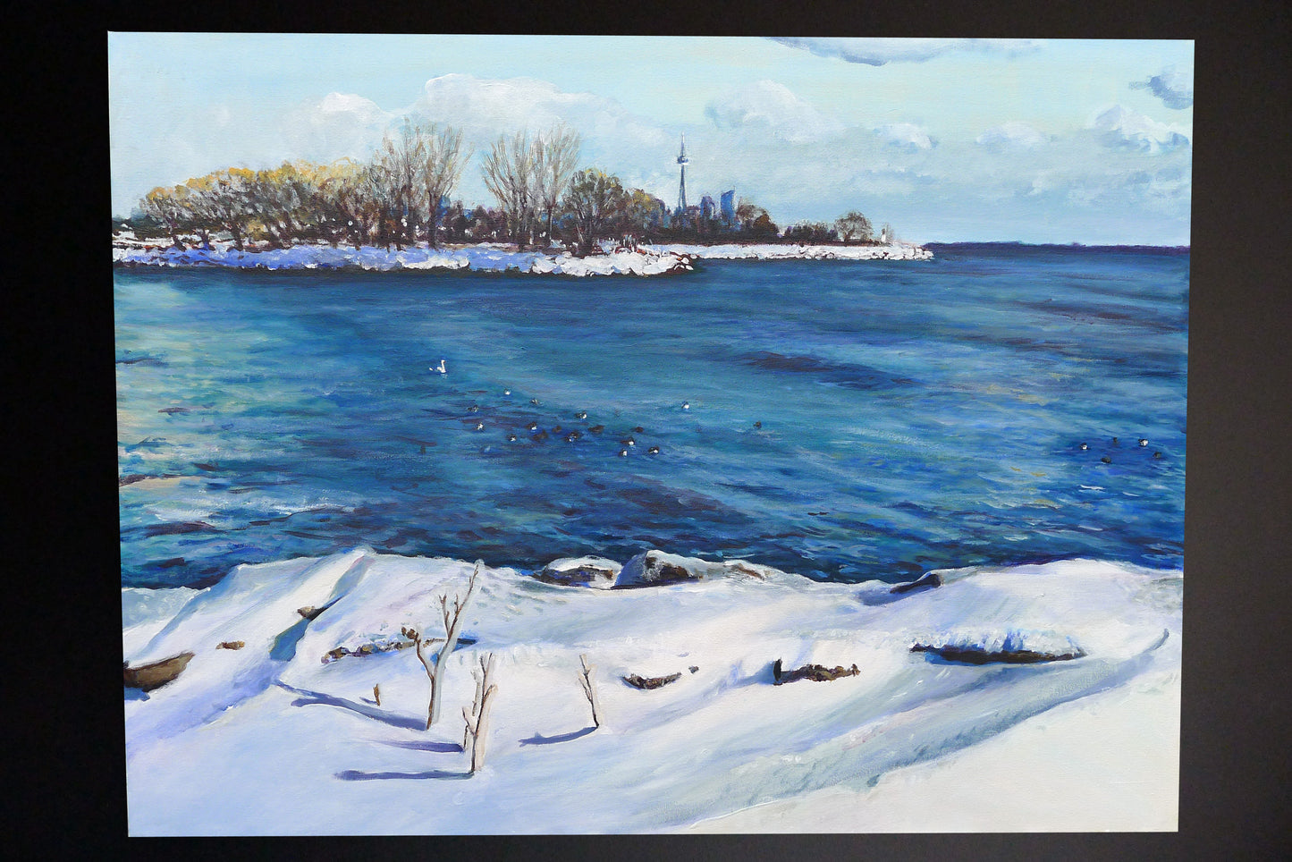 Mimico Waterfront